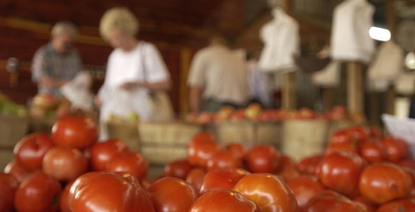 Tomatoes are in high season in July. Photographed at the Vanderbilt Farmers' Market. (Joan Brasher/Vanderbilt)
