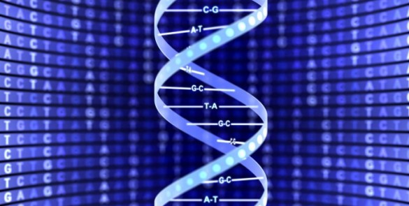 DNA