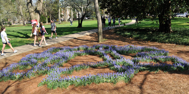 Vanderbilt University