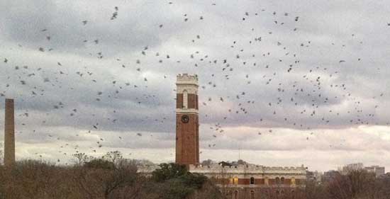 Vanderbilt University