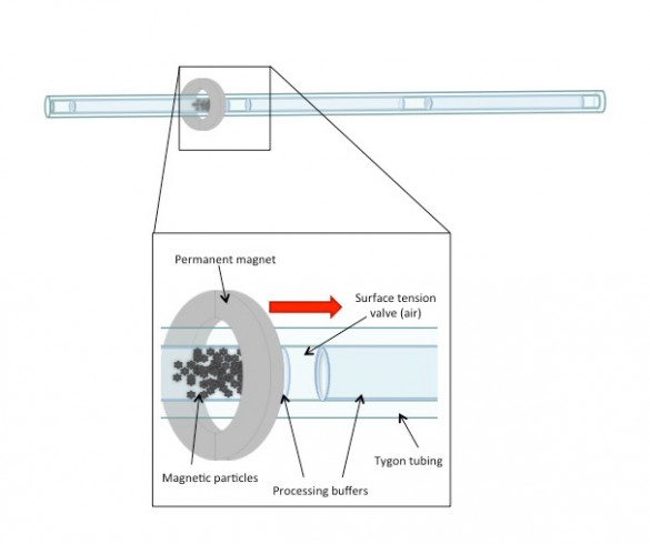 Extractionator schematic