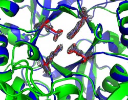 Crystal structure