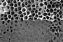 SEM image of the imprinting process applied to an array of titanium dioxide nanotubes oriented perpendicular to the surface. (Weiss Lab)