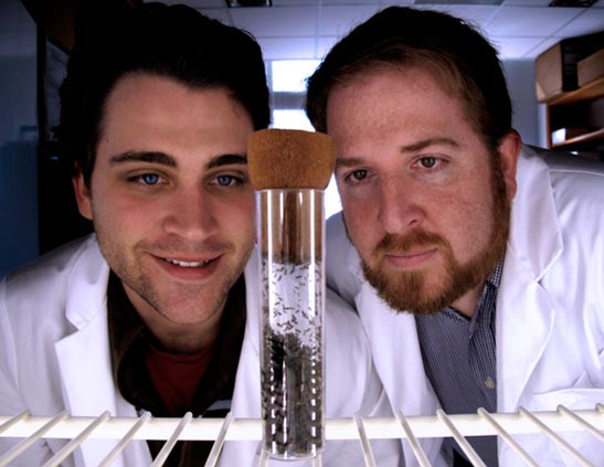 Seth Bordenstein, right, and Robert Brucker examining a bottle filled with Nasonia. (Courtesy of Bordenstein Lab)
