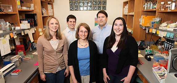 Members of the team studying genes associated with epilepsy include (front row, from left) Alison Miller, M.S., Jennifer Kearney, Ph.D., Courtney Campbell, (back row, from left) Benjamin Jorge and Alfred George, M.D. (Susan Urmy / Vanderbilt University)