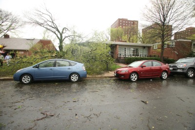 Storm damage on Greek Row (Jenny Mandeville / Vanderbilt)