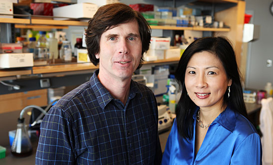 John Kuchtey, Rachel Kuchtey and colleagues have identified a new candidate gene for a common form of glaucoma. (Susan Urmy / Vanderbilt)