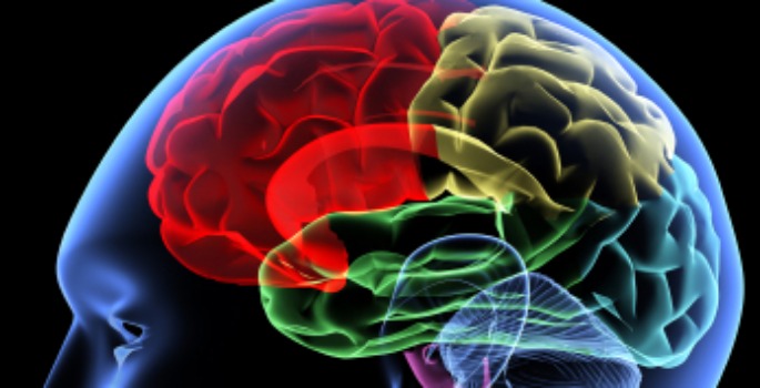 Scanning of a human brain by X-rays