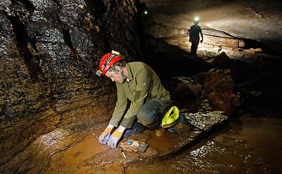 Brian Bachmann collecting bacterial samples in Snail Shell Cave (Photo credit: John Russell, Vanderbilt University)