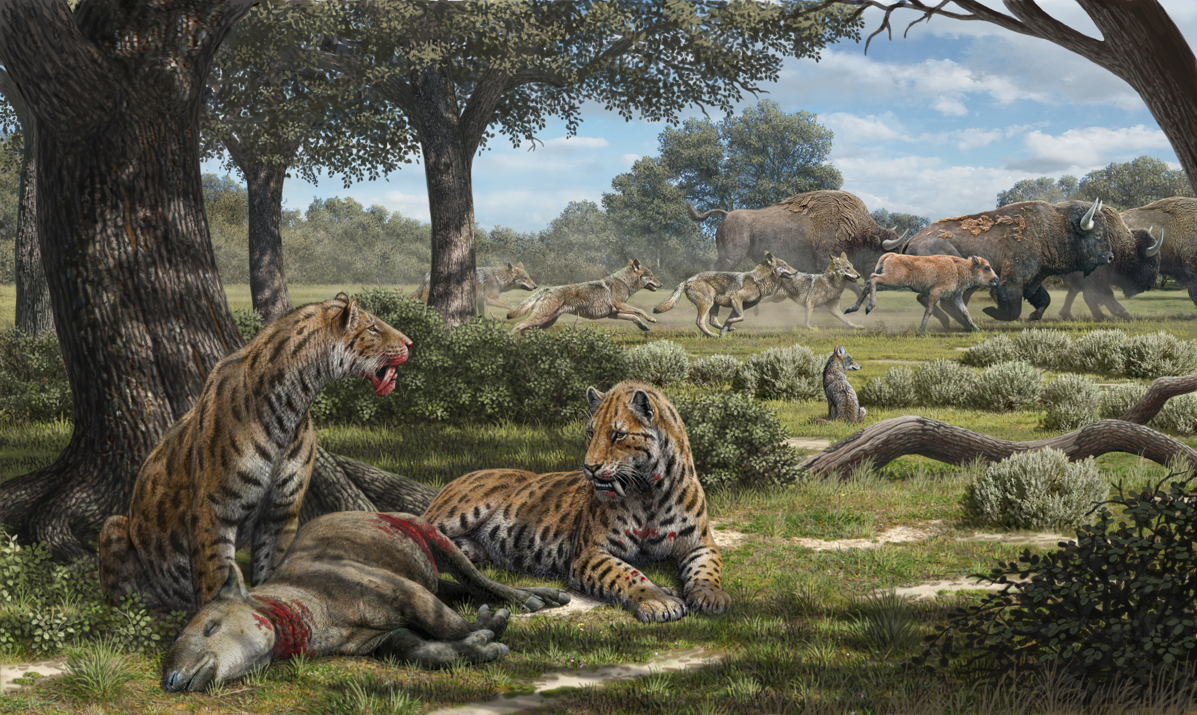 Illustration of La Brea carnivores