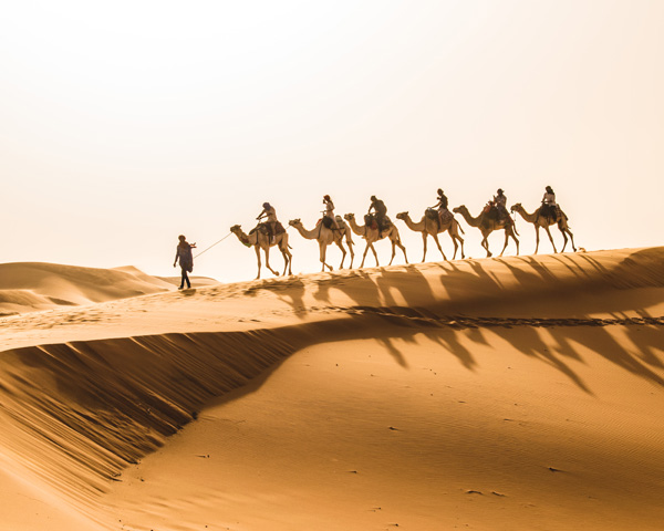 “Camel Caravan in the Sahara” by John Valin