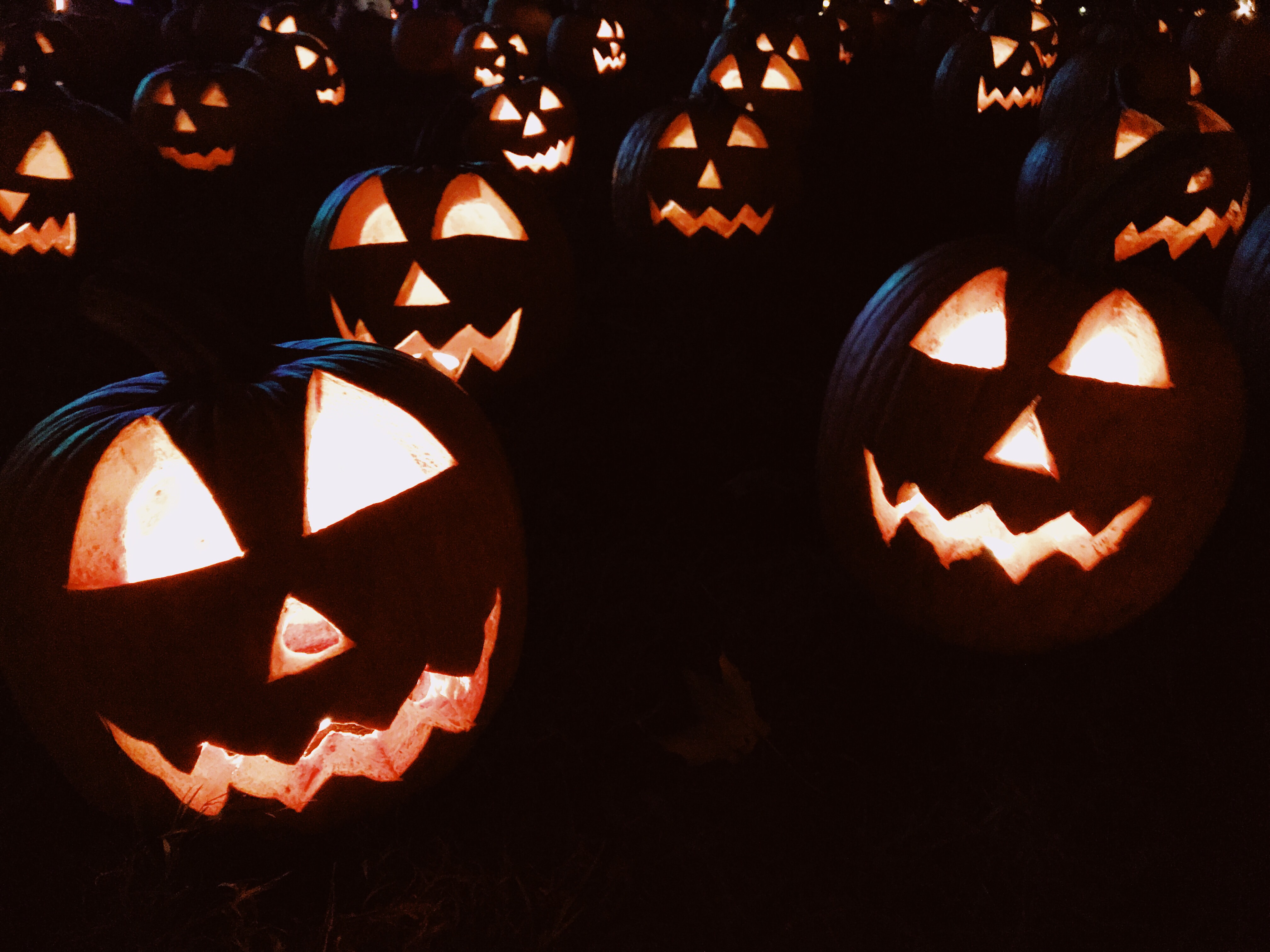 carved jack-o-lantern pumpkins