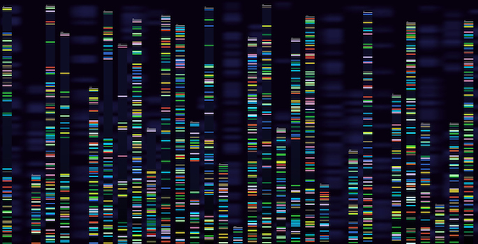 Genomic analysis visualization. Dna genomes sequencing, deoxyribonucleic acid genetic map and genome sequence analyse. Bioinformatics forensics data or dna radiographic testing vector concept (Genomic analysis visualization