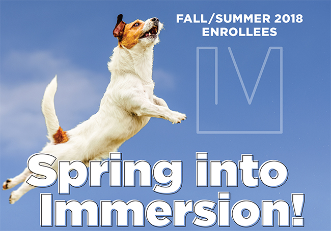 Spring Into Immersion 2020