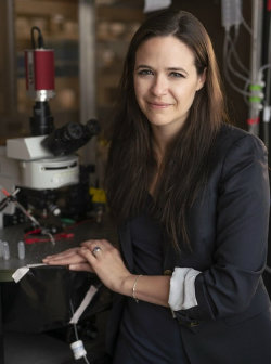 Erin Calipari (photo by Joe Howell/Vanderbilt University)