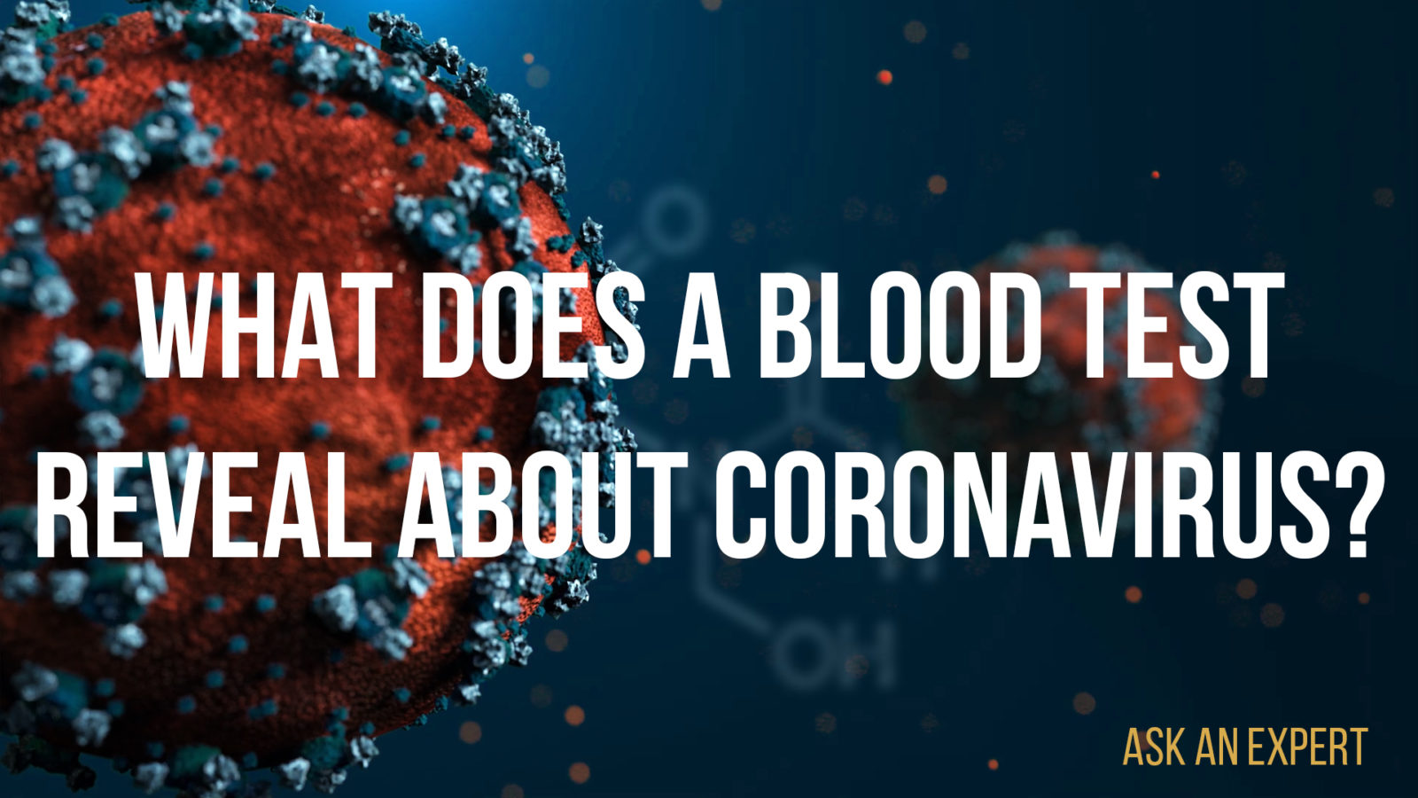 ask-an-expert-what-can-a-blood-test-reveal-about-coronavirus