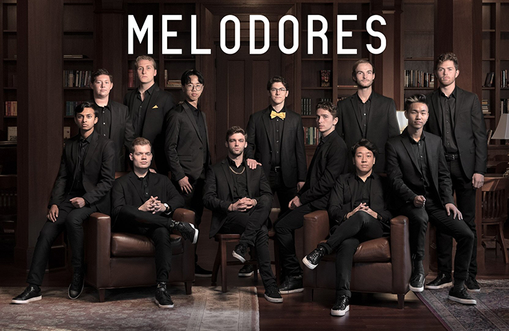 The Vanderbilt Melodores 2019-20 members. (courtesy of the Melodores)
