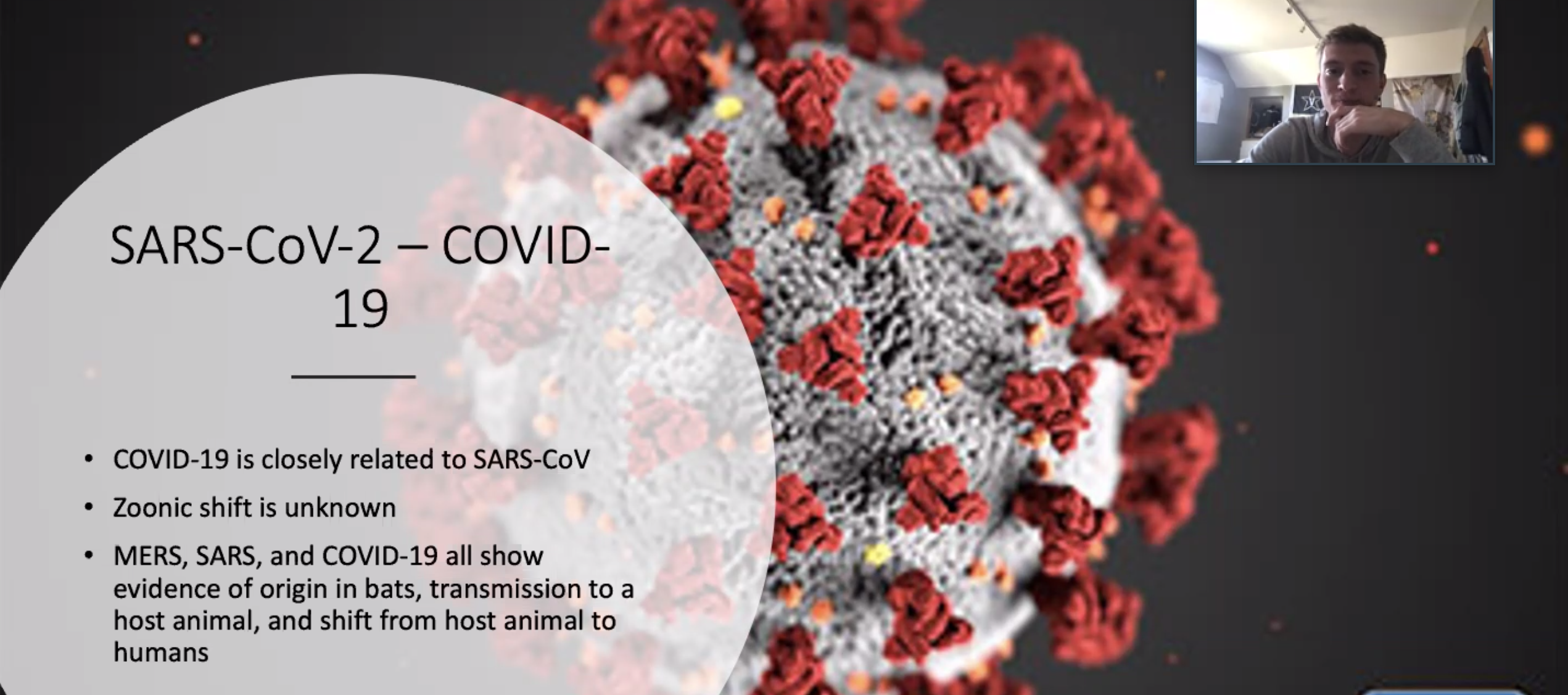 SARS-Cov-2-COVID019 slideshow