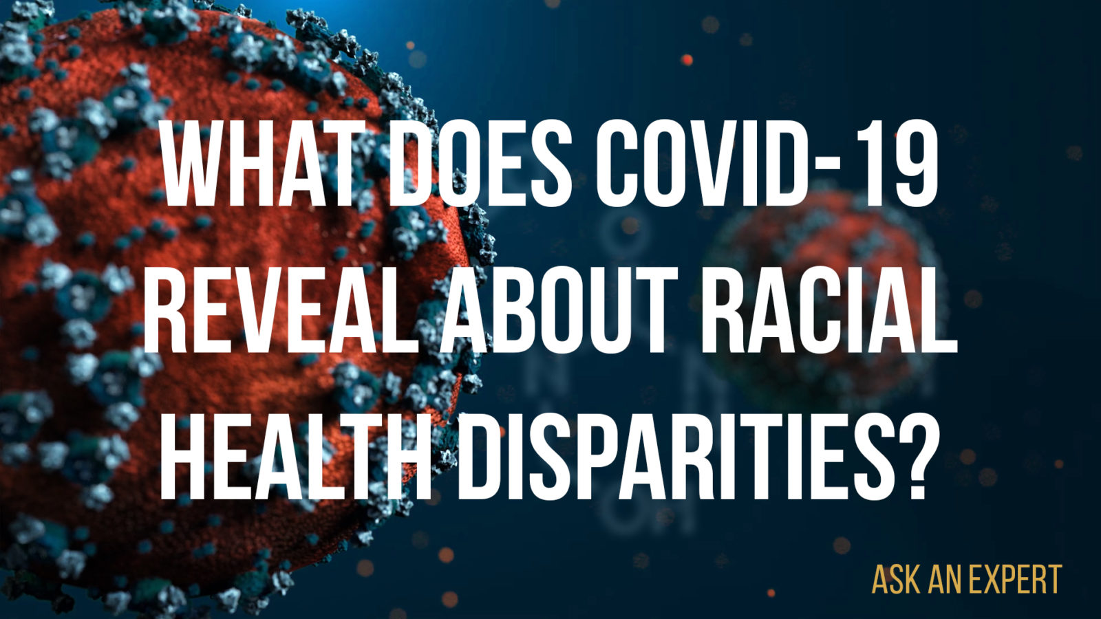 Ask An Expert: What Does COVID-19 Reveal About Racial Health ...