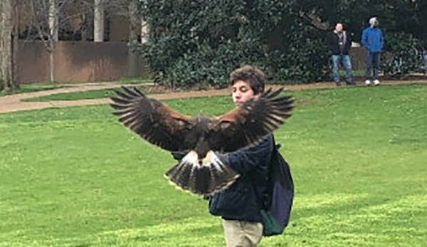 First-year student Fernando Mendez learns about medieval falconry on Library Lawn. (Vanderbilt University)