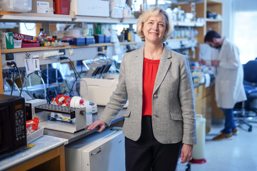 Interim Chancellor and Provost Susan R. Wente (Vanderbilt University)