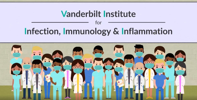Vanderbilt Institute for Infection, Immunology and Inflammation
