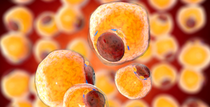 Vanderbilt research: Better understanding of fundamental cell behavior can improve drug development