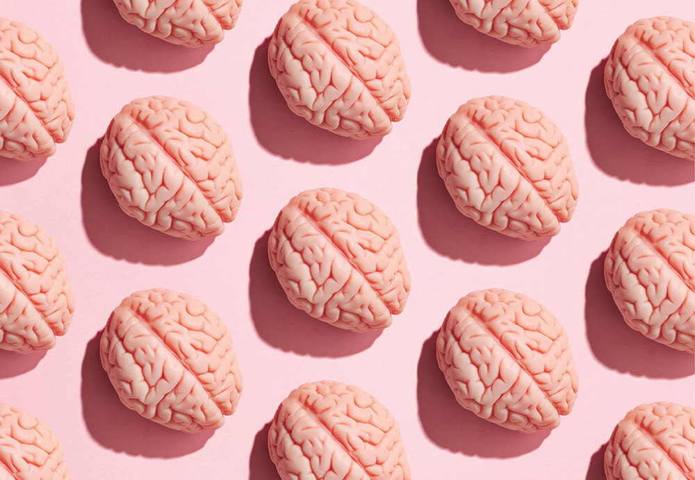 illustration of identical pink brain laid out in a pattern