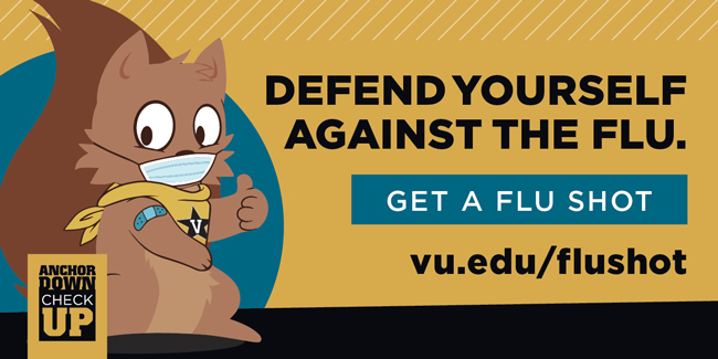 Defend Yourself Against the Flu