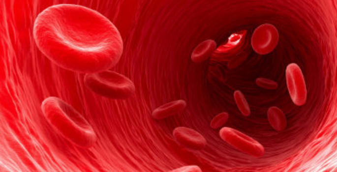 Research Snapshot: New drug targets vascular inflammation, drastically improving the long-term effectiveness of vascular procedures