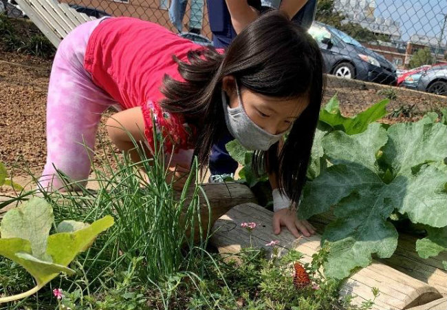 Elementary student in Vanderbilt art enrichment program observes plants and butterflies by the Vanderbilt Child and Family Center on Edgehill.