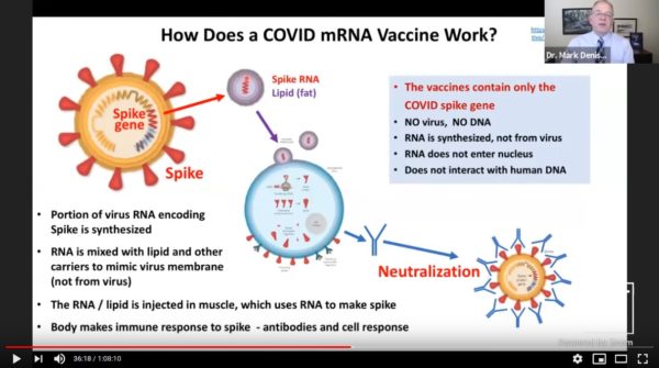 How do mRNA vaccines work?