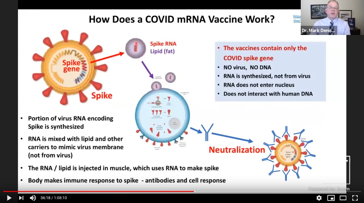 Coronavirus expert Mark Denison shares COVID19 research and insights