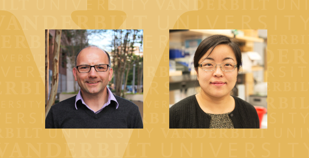 Assistant Professor of Molecular Physiology and Biophysics Gregor Neuert and Assistant Professor of Biochemistry Yi Ren have been recognized as School of Medicine Basic Sciences Dean’s Faculty Fellows.