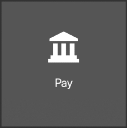 Oracle pay icon