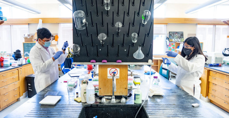 Vanderbilt scientist’s team project wins $55,000 to research fundamental cell behavior