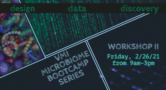 VMI Microbiome Bootcamp Series