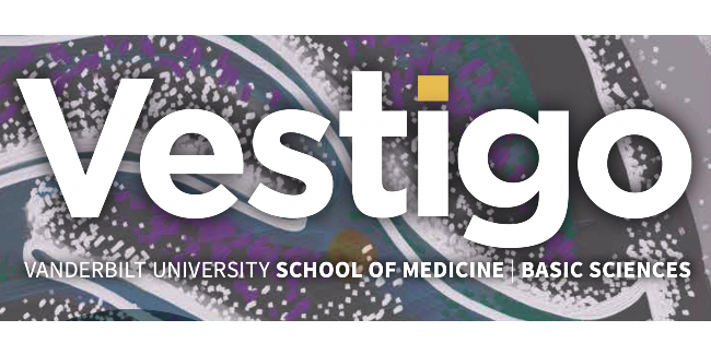 Vestigo: Vanderbilt University School of Medicine Basic Sciences