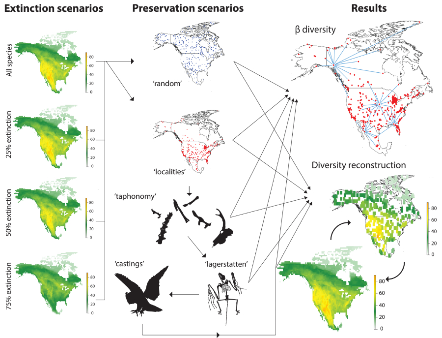 Vanderbilt scientists use fossil records to understand the present, predict  future ecosystems | Vanderbilt University