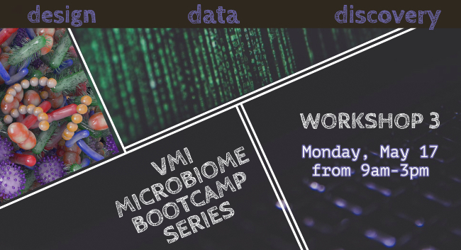 VMI Microbiome Bootcamp Series