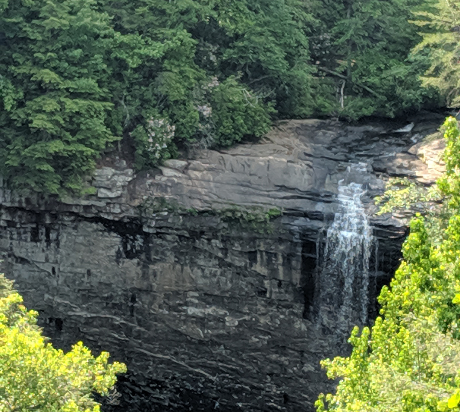 Spectacular Grundy County waterfall nestled within trees