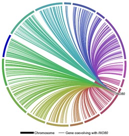 genome map