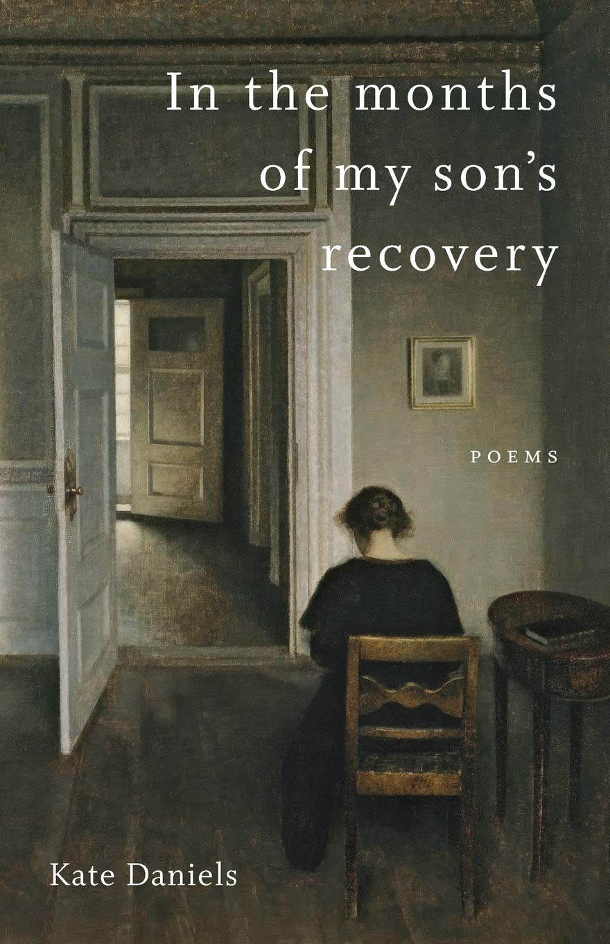 Book Cover of Kate Daniels In the Months of My Son's Recovery