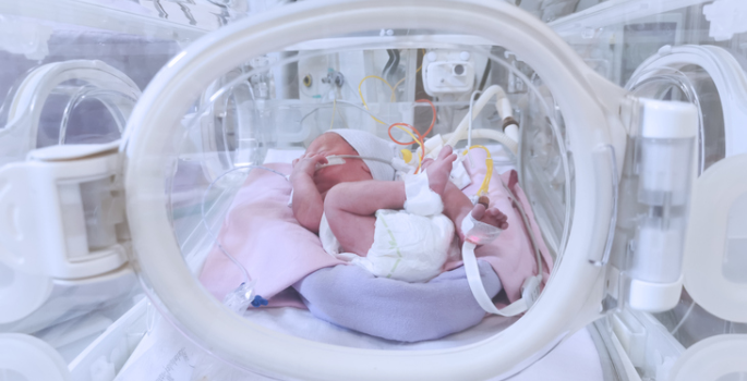 premature baby in NICU incubator