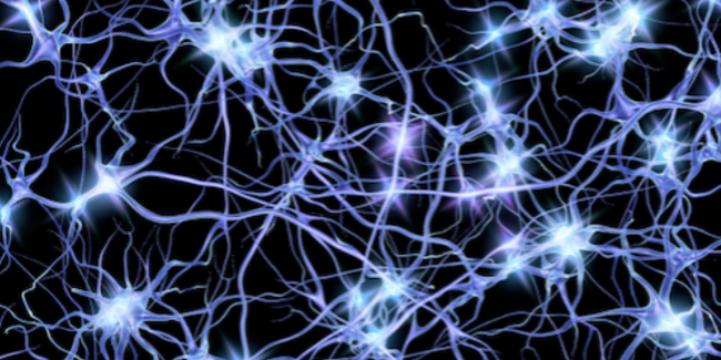 Neurons illustration/stock photo