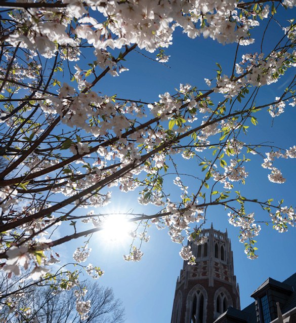 Vanderbilt University