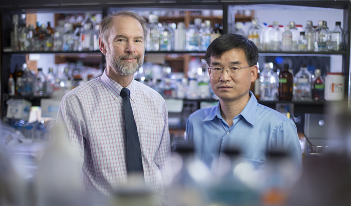 VUMC scientists discover key step to kidney fibrosis