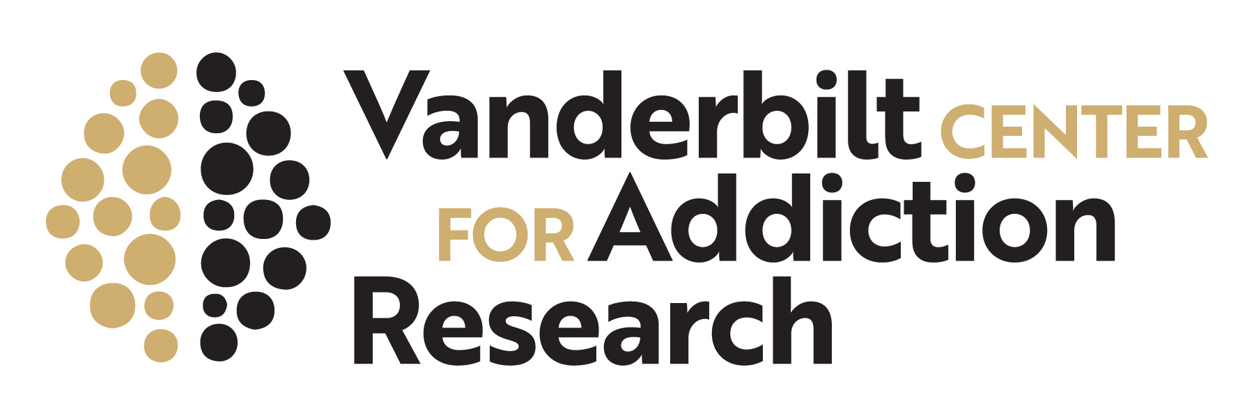 logo saying Vanderbilt Center for Addiction Research