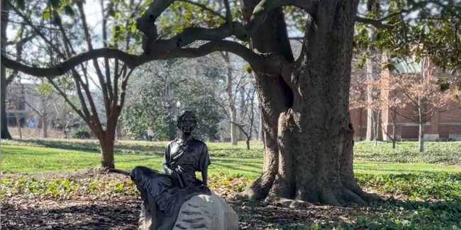 Vanderbilt’s magnolia trees and the women who planted them