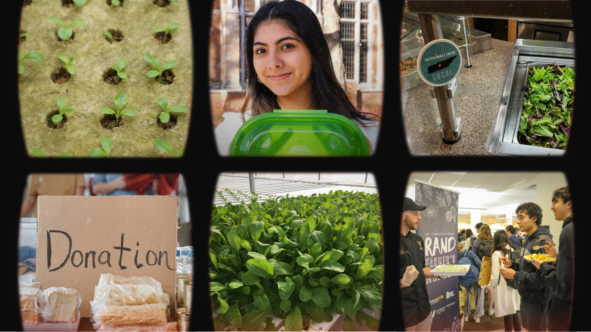 WATCH: 5 Vanderbilt Campus Dining sustainability efforts you should know